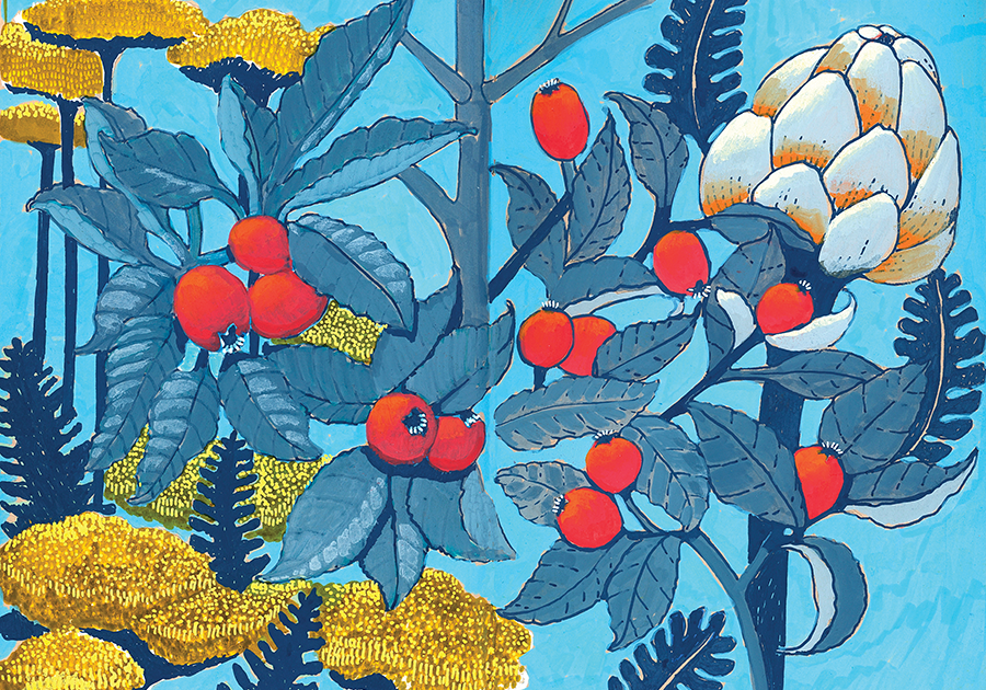 Surface Pattern Designer - Katie O'Shea