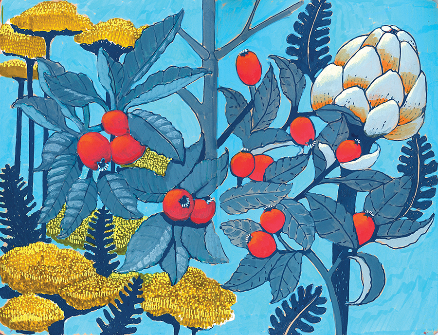Surface Pattern Designer - Katie O'Shea